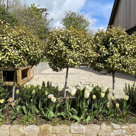Cedar House Pension Ilsington Buitenkant foto